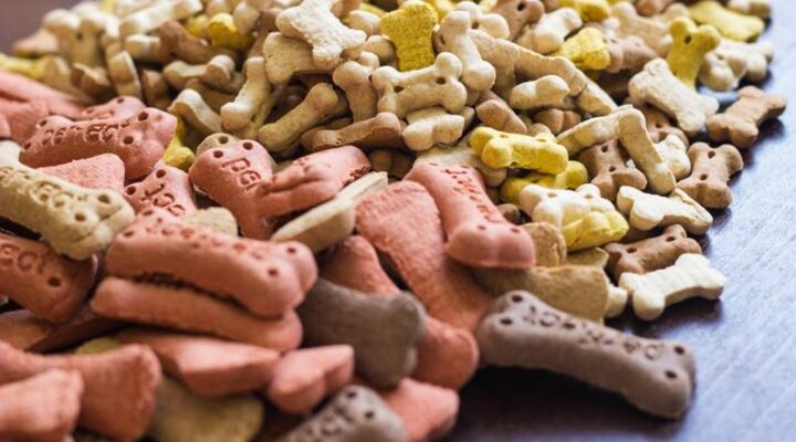 Pet Food